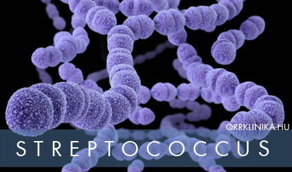 orbanc streptococcus